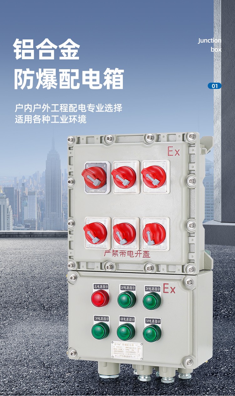 防爆动力配电箱(BXD)-2.jpg
