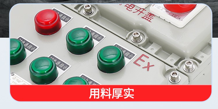 防爆动力配电箱(BXD)-3.jpg
