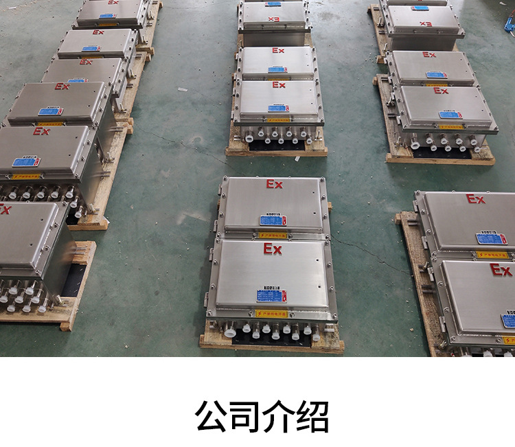 BJX不锈钢防爆接线箱-8.jpg