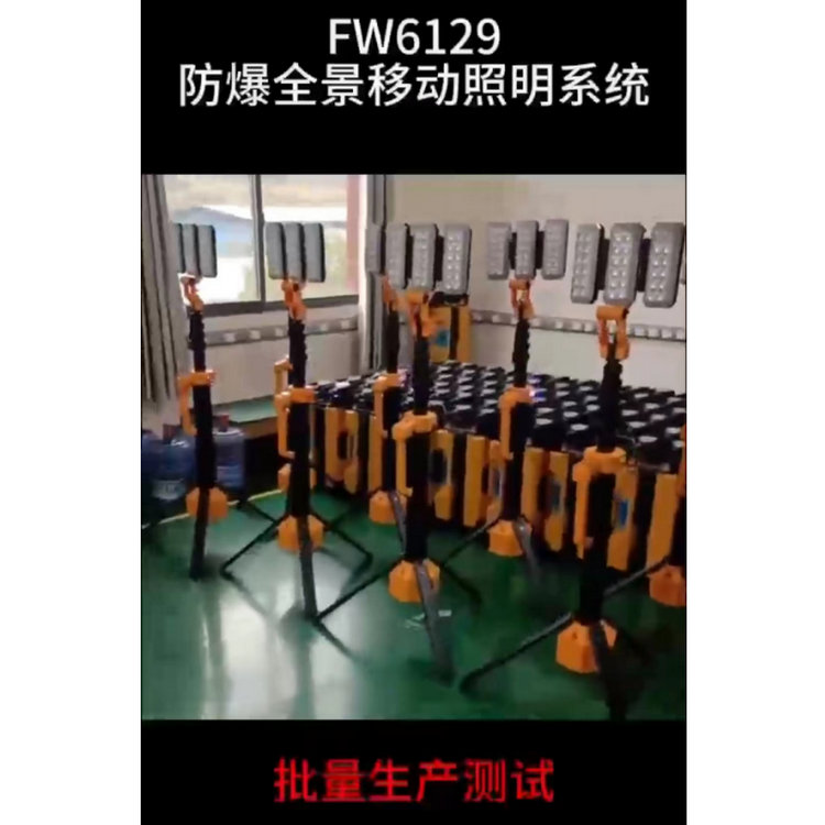 FW6129-8.jpg